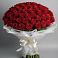 Букет 101 Красная роза Блэк Мэджик в Трубчевске