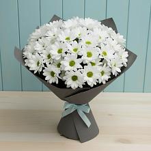 Букет цветов из:  Хризантемы в Трубчевске