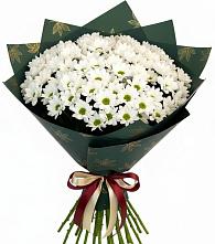Букет цветов из:  Хризантемы в Трубчевске
