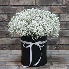 Цветочная композиция из Гипсофила в шляпной коробке в Трубчевске