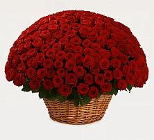 Премиум букет из: Розы в Трубчевске