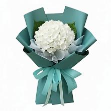Букет цветов из:  Гортензия в Трубчевске